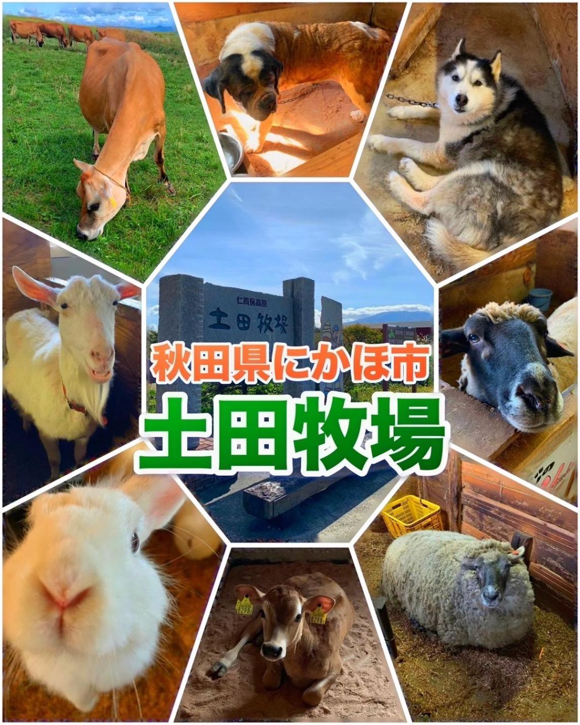 Hotel Dolphia-Adult Only Daisen  Eksteriør bilde