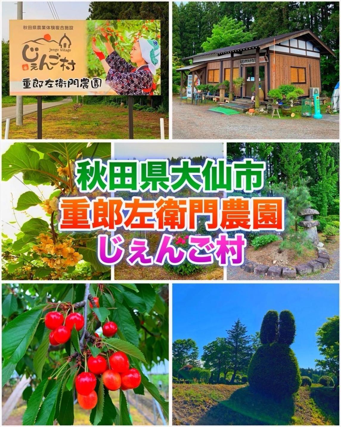 Hotel Dolphia-Adult Only Daisen  Eksteriør bilde