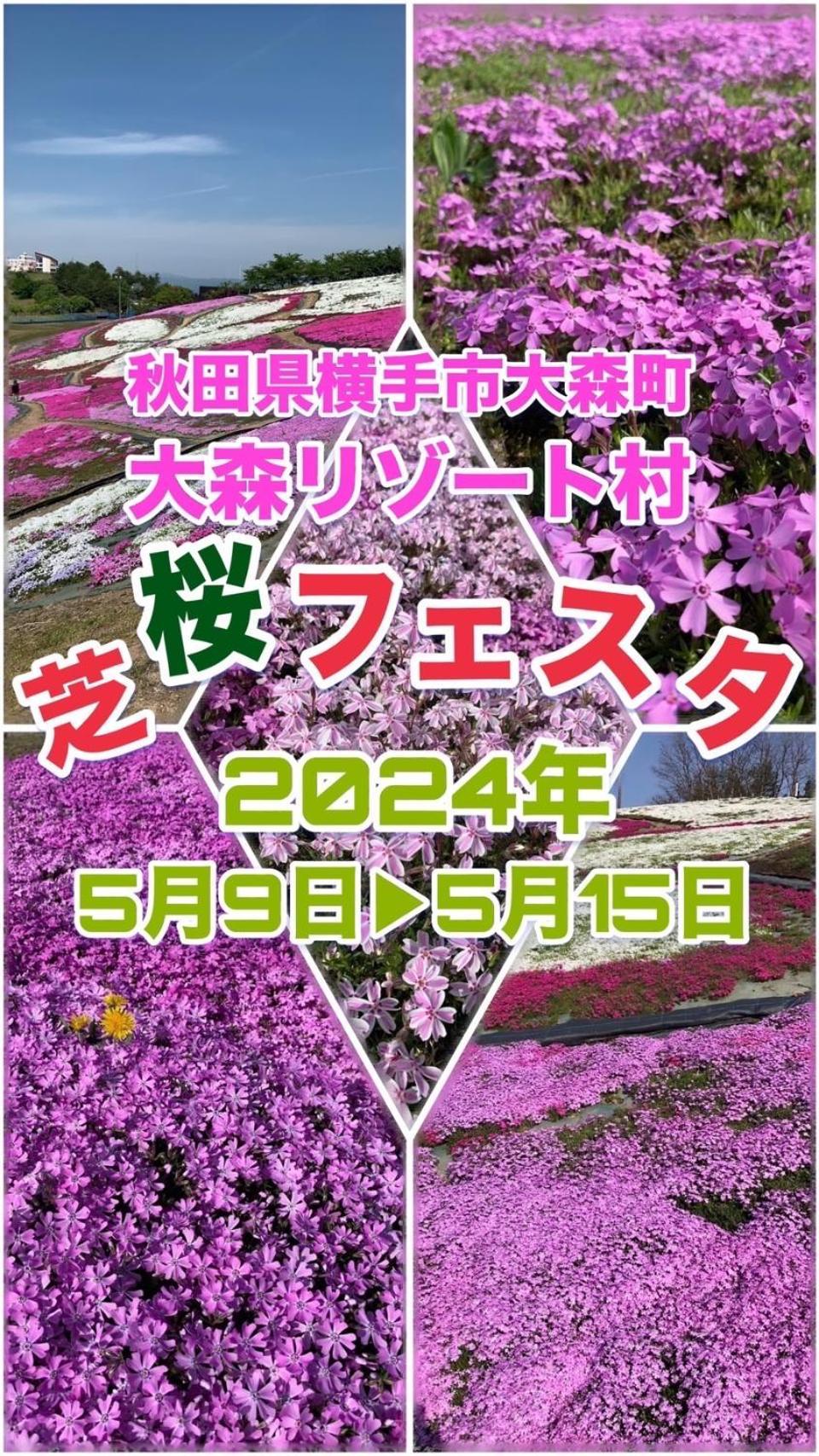 Hotel Dolphia-Adult Only Daisen  Eksteriør bilde